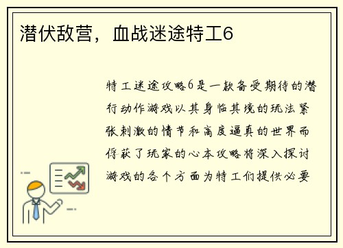 潜伏敌营，血战迷途特工6